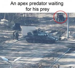 Apex predator.jpg