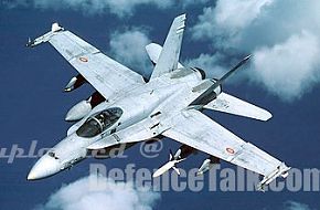 Spanish Air Force - F-18