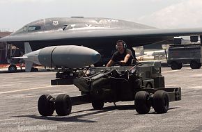 B-2 Spirit Stealth Bomber - US Air Force