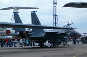 US Air Force (USAF) F-18 at the ILA2006 Air Show