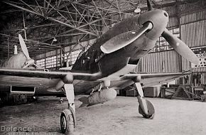 Reggiane Re.2000 "FALCO" (HAWK) - WWII Italian Royal Aviation