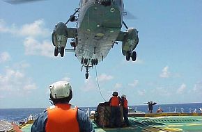 CH-124 Sea King