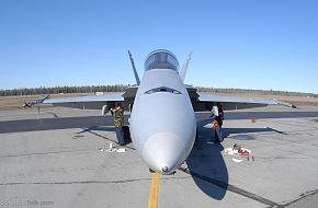 Maintenance on a Navy F/A-18- US Air Force Exercise