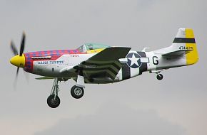 N11T P51-D Mustang Private