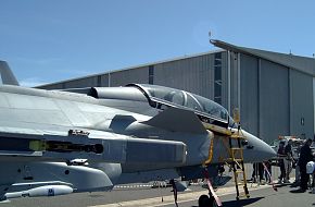 SAAF Gripen at Africa Aerospace and Defence 2006