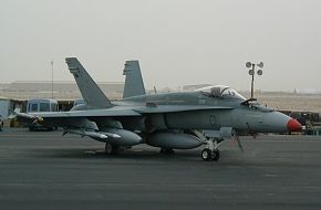 Hornets in Middle East