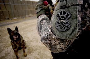 US Army Military Working Dog Handler