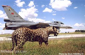 Turkish F-16 & Tiger