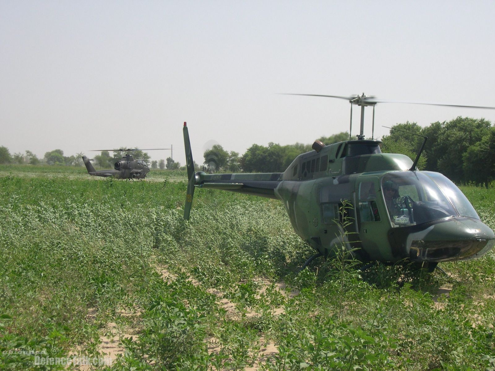 AH-1S and jetranger