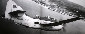 gannet-9.jpg