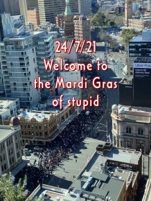 Mardi Gras of stupid.jpg