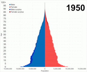 China_population_pyramid_from_1950_to_2022.gif