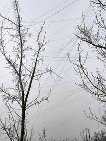 IMG_8982.jpeg