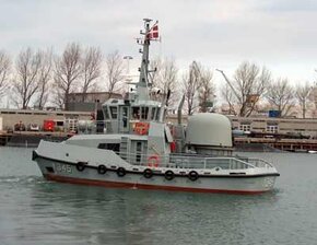 Alsin(2002).jpg