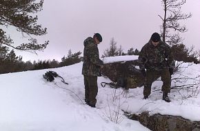 ELSO- VEH
