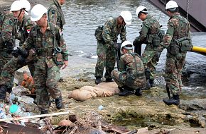 Operation Flying Eagle