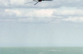 Boeing/Sikorsky RAH-66 Comanche