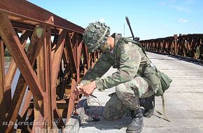 Exercise of the Cpo Ej II - Argentine Army