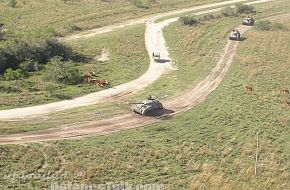 Exercise of the Cpo Ej II - Argentine Army