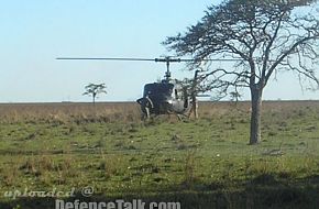 Exercise of the Cpo Ej II - Argentine Army