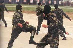 PLA-SpecOp or PAP trainning