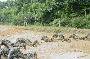 PLA (China Army) Training