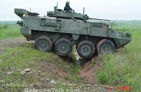 NZLAV 3