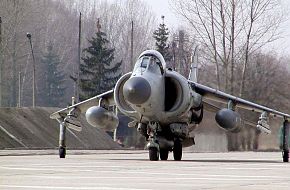 British Harrier - Royal Air Force