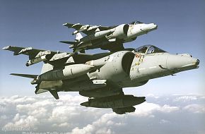 British Harrier - Royal Air Force