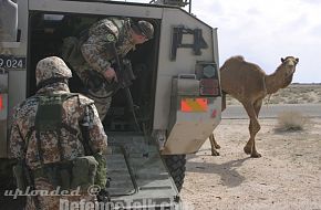 Danish Armed Forces in Iraq