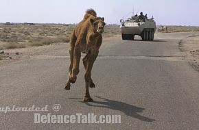 Danish Armed Forces in Iraq