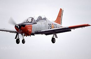 Spanish Air Force - T-35,in training