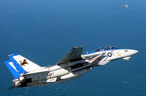 Grumman F-14 Tomcat - US Air Force