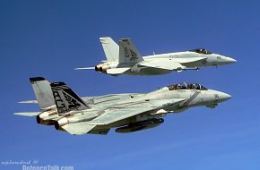 Grumman F-14 Tomcat - US Air Force