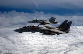 Grumman F-14 Tomcat - US Air Force