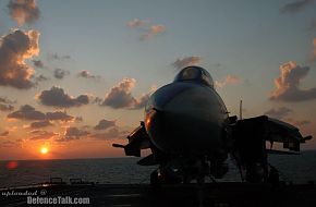 Grumman F-14 Tomcat - US Air Force