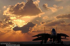 Grumman F-14 Tomcat - US Air Force