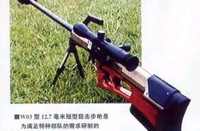 Rifles - China Army