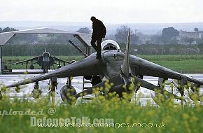 RAF GR-7 Harrier