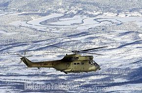 RAF Super Puma