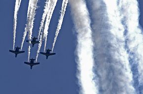 Airshow 2006|||Swedish Air Force 80th anniversary