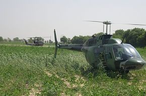 AH-1S and jetranger