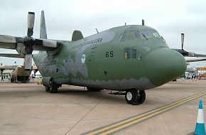 RIAT 2006 Air show (The Royal International Air Tattoo)