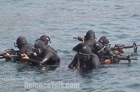 Mexican Navy Special Operations Force