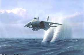 F-14 Tomcat - Fighter Jet Wallpapers