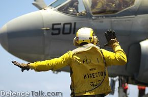 EA-6B Prowler of Electronic Attack Squadron