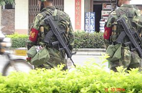 Type 95 (QBZ95) Assault Rifle - Peopleâs Liberation Army