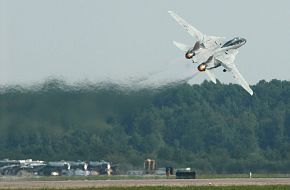 F-14 Tomcat Final Deployment