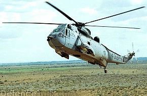 CH-124 Sea King