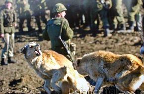 Russian Military and war in Chechnya